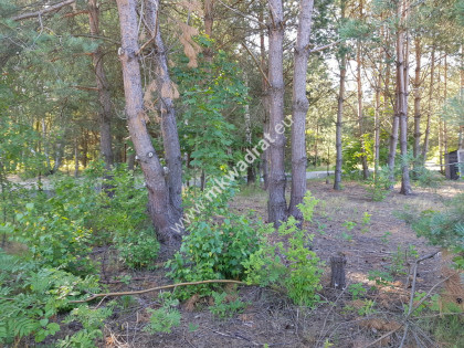 Działka budowlana 1053 m² prostokątna, media Warto