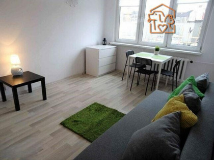 2 pokoje pet-friendly - Grobla 6c