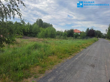 Działka w pierwszej linii zabudowy pow.1160m2