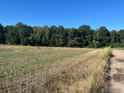 Działka Tarnowskie Góry Rybna