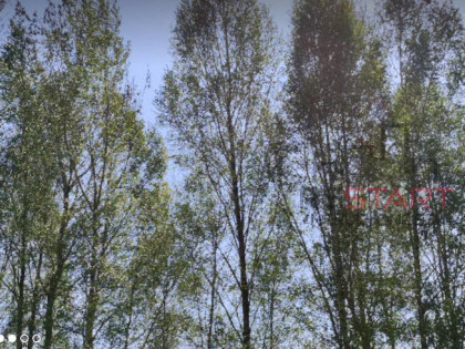 Działka rekreacyjna Warszawa gm. Mokotów Mokotów, Siekierki,