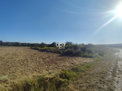 Działka Modlniczka
