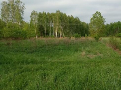 Sprzedam działkę rolną w Sarzynie 30 arów