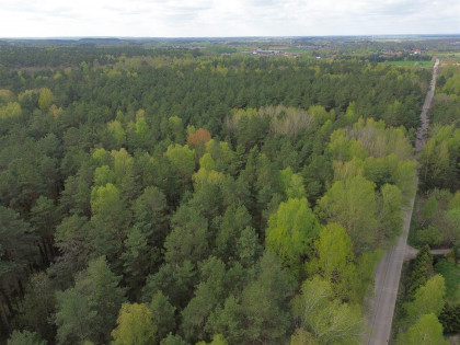 Działka Choroszcz Barszczewo ul. Laurowa