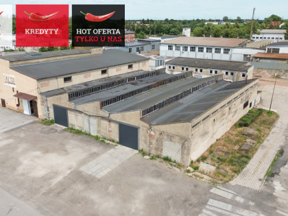 Lokal Pakość ul. Inowrocławska