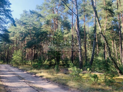 Działka pod rekreację | 2552 m2 | Wilga Ośrodek