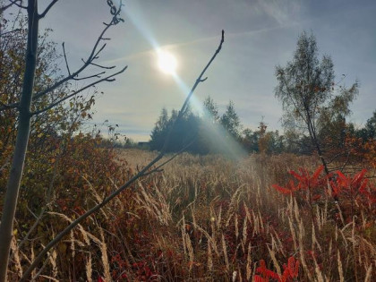 Działka Wysoka