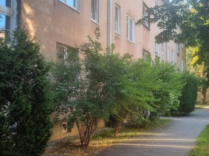 Wołoska/Dąbrowskiego - z widną kuchnią i piwnicą