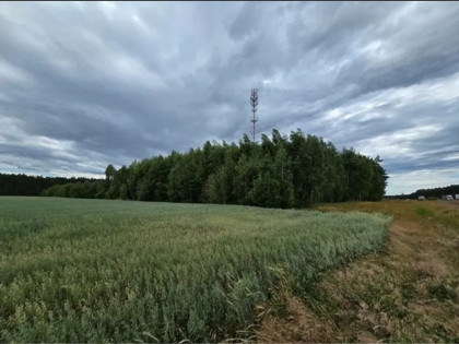 Nieruchomość - Zagaje