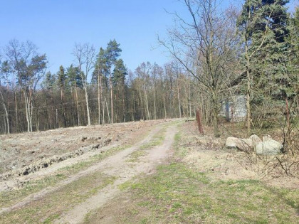 Sprzedam działkę, gm. Grabów nad Pilicą, Augustów
