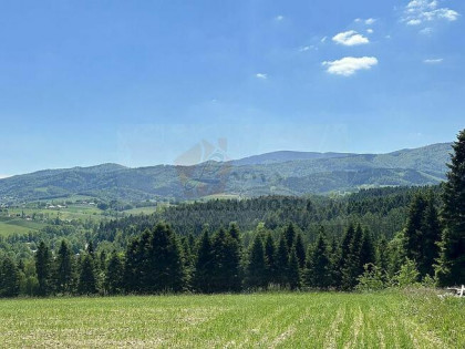 OKAZJA INWESTYCYJNA – 139G Moszczenica Niżna gmina Stary Sąc