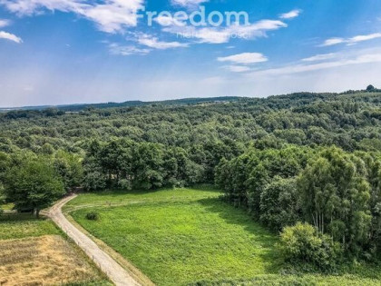 Działka w Kraczkowej, pod lasem, posiadająca WZ