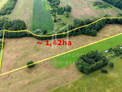 Działka Pagórek