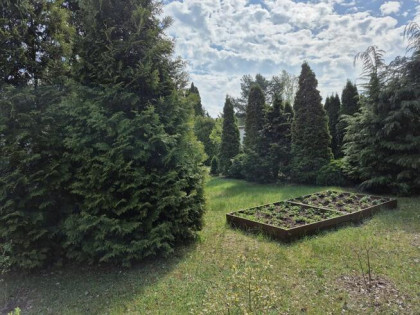 Działka rekreacyjna Łódź gm. Łódź-Górna Górna, Wazów