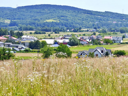 Działka Brzyska
