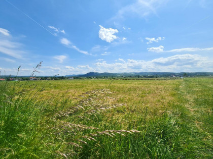 Działka Pagorzyna