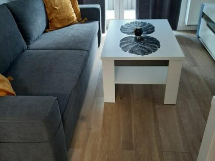 Elegancki apartament na Dmowskiego