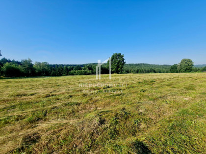 Działka Święcany