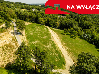 Działka 90 ar z Wz  Olszowa, TANIO !