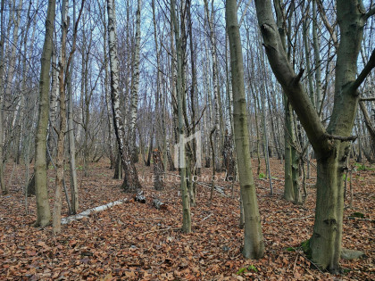 Działka Szufnarowa