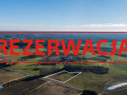 Działka 3.300 m² Iwiec Bory Tucholskie