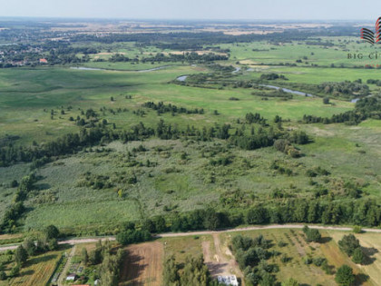 Działka budowlana Węgielce gm. Michów,