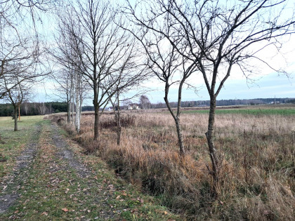 Działka Kaleń Drugi