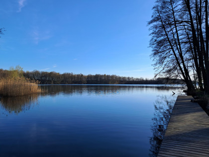 Działka Duba
