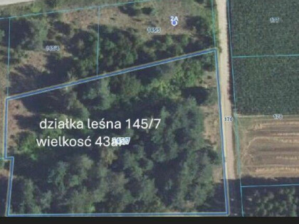 Działka leśna 0,43 ha