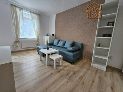 Przytulne 2 pokoje, pet-friendly - 11 Listopada115