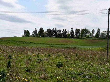 Działka Iłownica