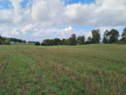 Działka Stary wiec