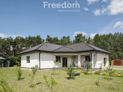 Dzień Pokazowy wtorek 18.08.