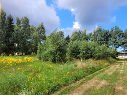 Działka rolna Słajszewo gm. Choczewo, Bursztynowa