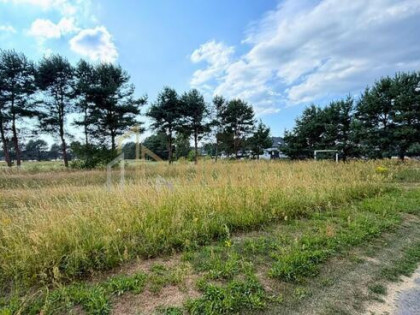 Działka 2684 m² w zielonej okolicy - Modrzewie