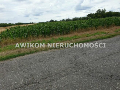 Działka siedliskowa Baranów Cegłów