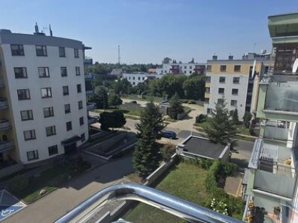 Mieszkanie do wynajęcia, Nowy Świat