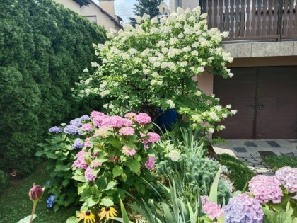 MIESZKANIE 3 POKOJOWE NA PIĘTRZE lub SPRZEDAŻ CAŁEGO DOMU