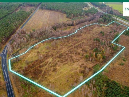 Działka inwestycyjna Strzelno gm. Pieńsk, Zgorzelecka
