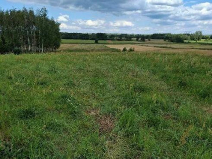 Urokliwa działka rolno-budowlana z potencjałem Januszkowice