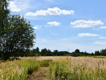 Działka rolna 43a - Strażów