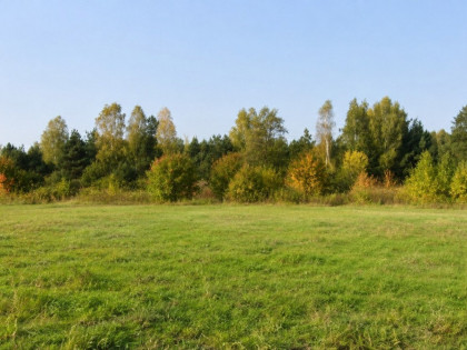 Działka z MPZP pod zabudowę 3931 m² – Wólka Radzymińska
