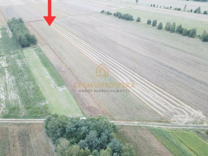 Działka rolna Białaczów Białaczów