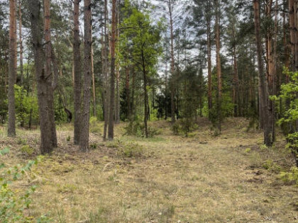Działka w lesie 2064 m² - letniskowa i całoroczna