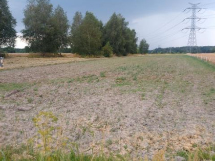 Działka Warężyn