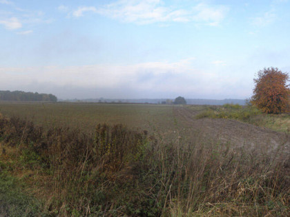 Działka Byków