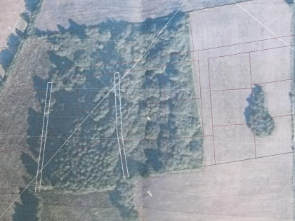 Działka Dziuplina
