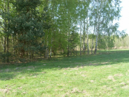 Działka 1.18 ha pod Mszczonowem | WZ | 28 zł/m2