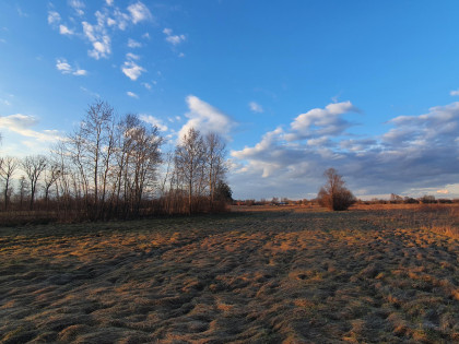 Działka Duchnów
