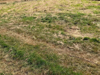 Działka Kobielice ok. 800m2